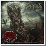 INFECTOLOGY - Origin Of Pathological Extermination CD